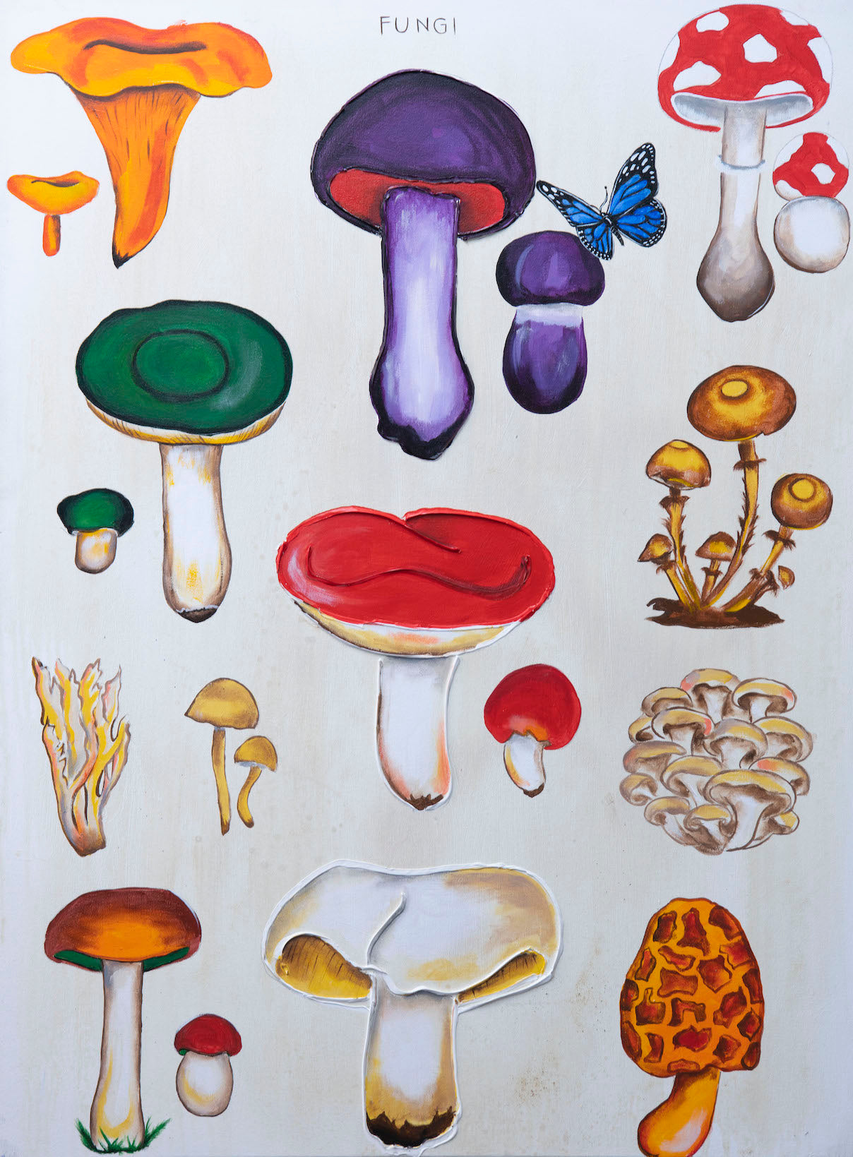 "Fungi"